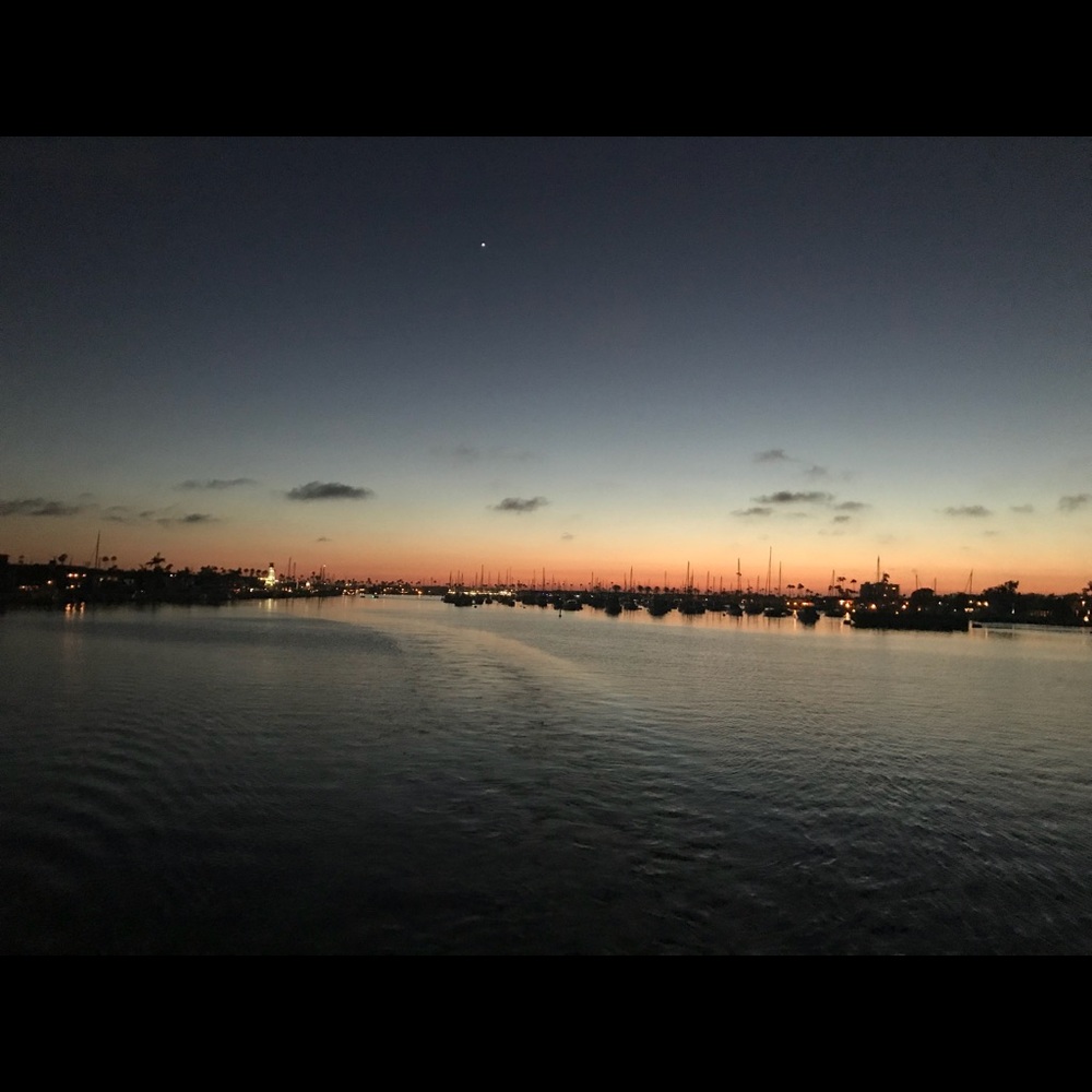 Meet your Posher, Liz